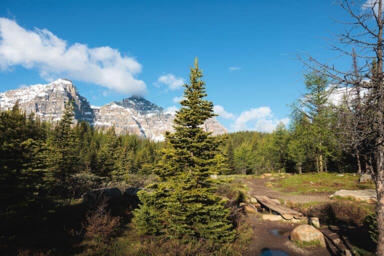 Larch Valley Hike