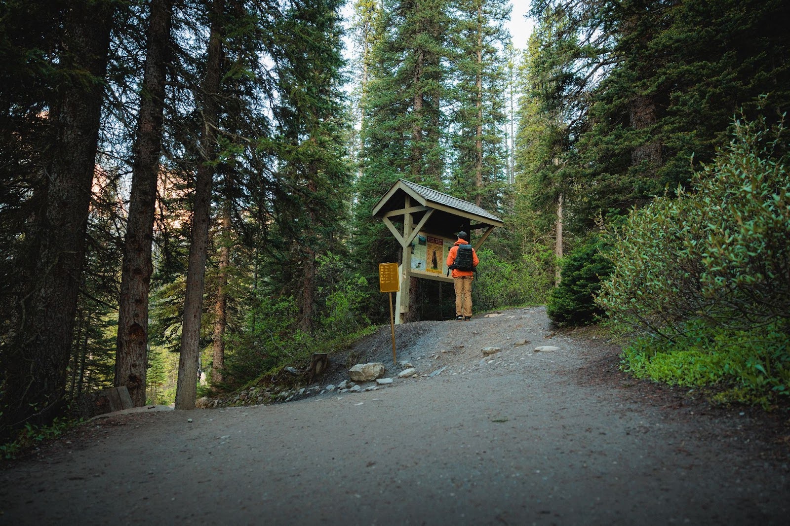  Larch Valley Hike