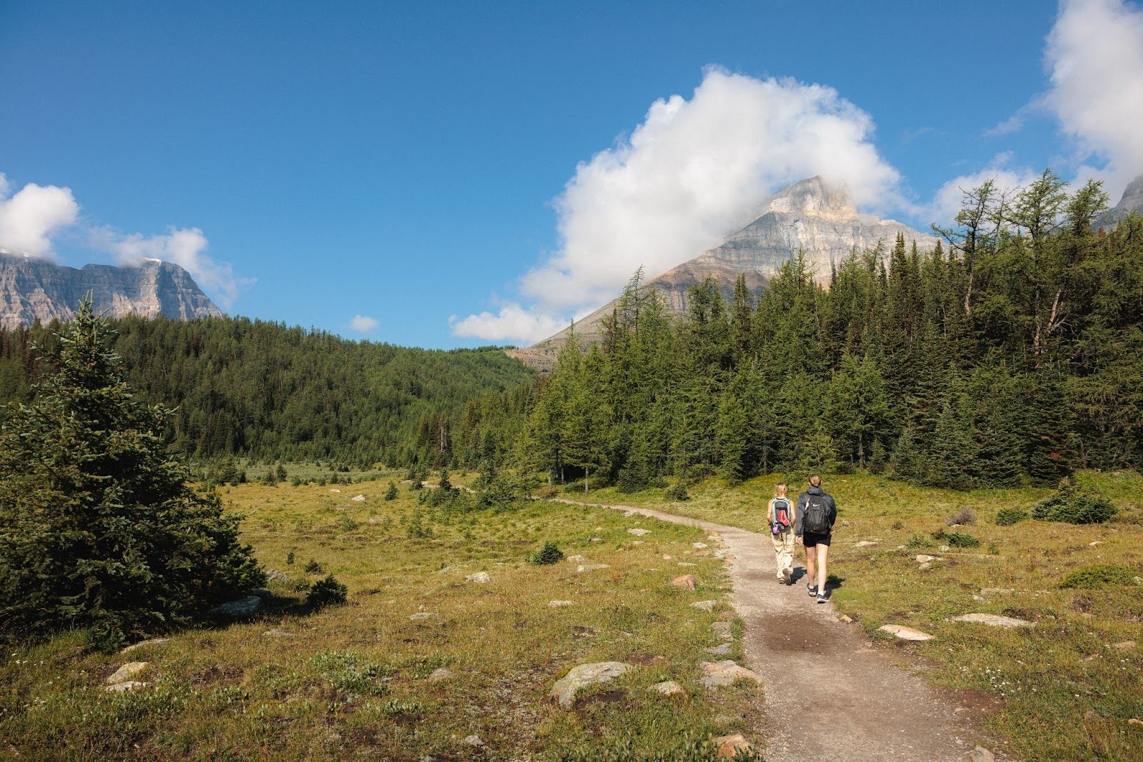  Larch Valley Hike