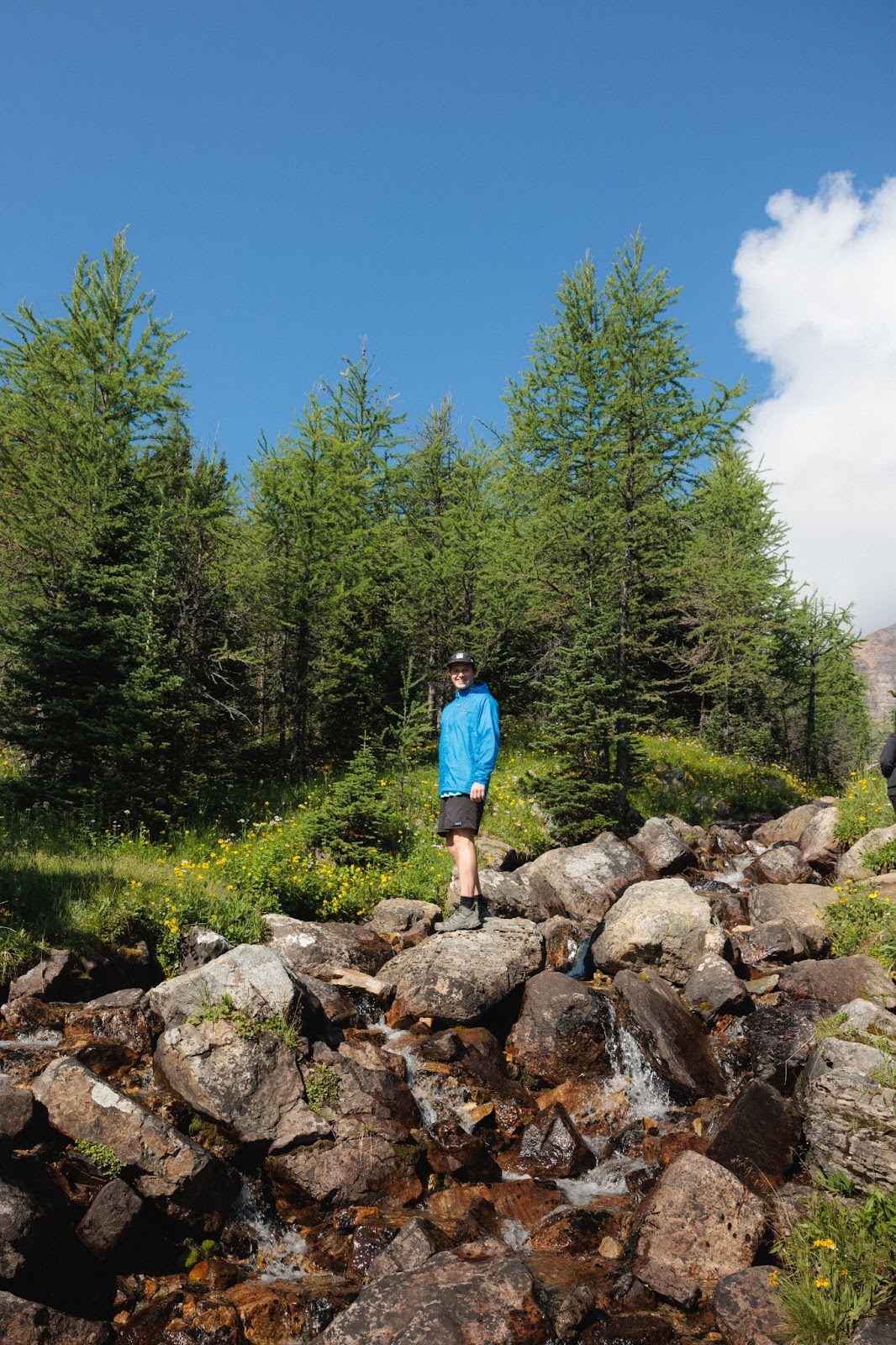  Larch Valley Hike