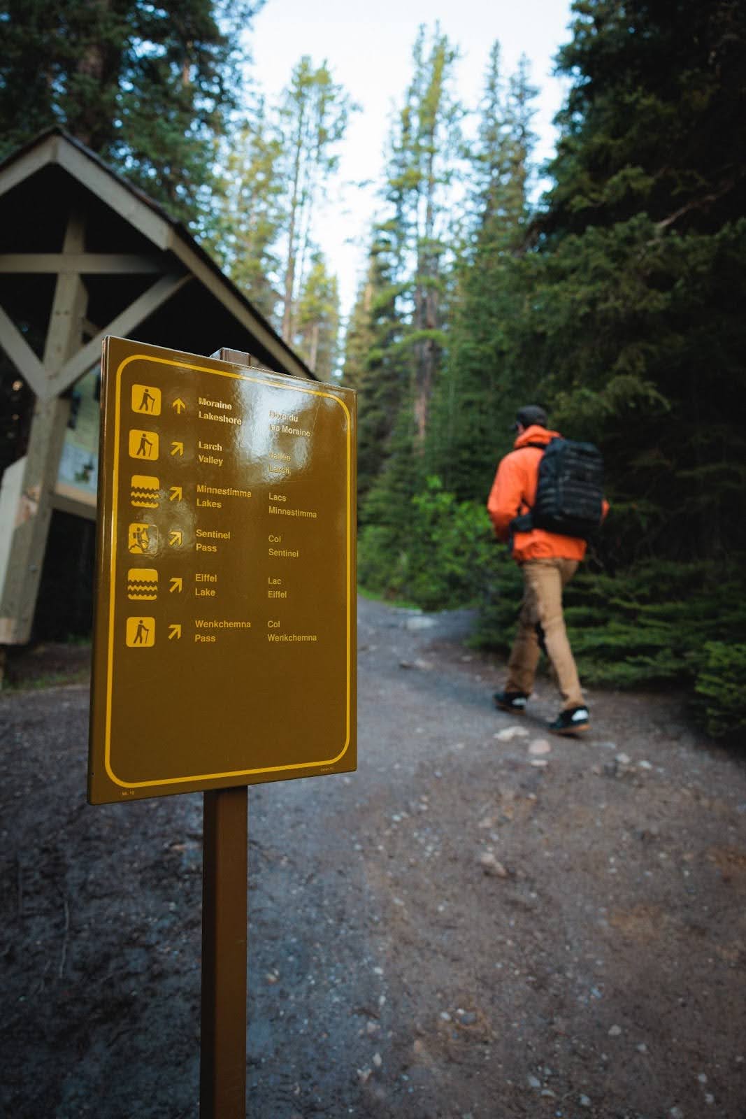  Larch Valley Hike