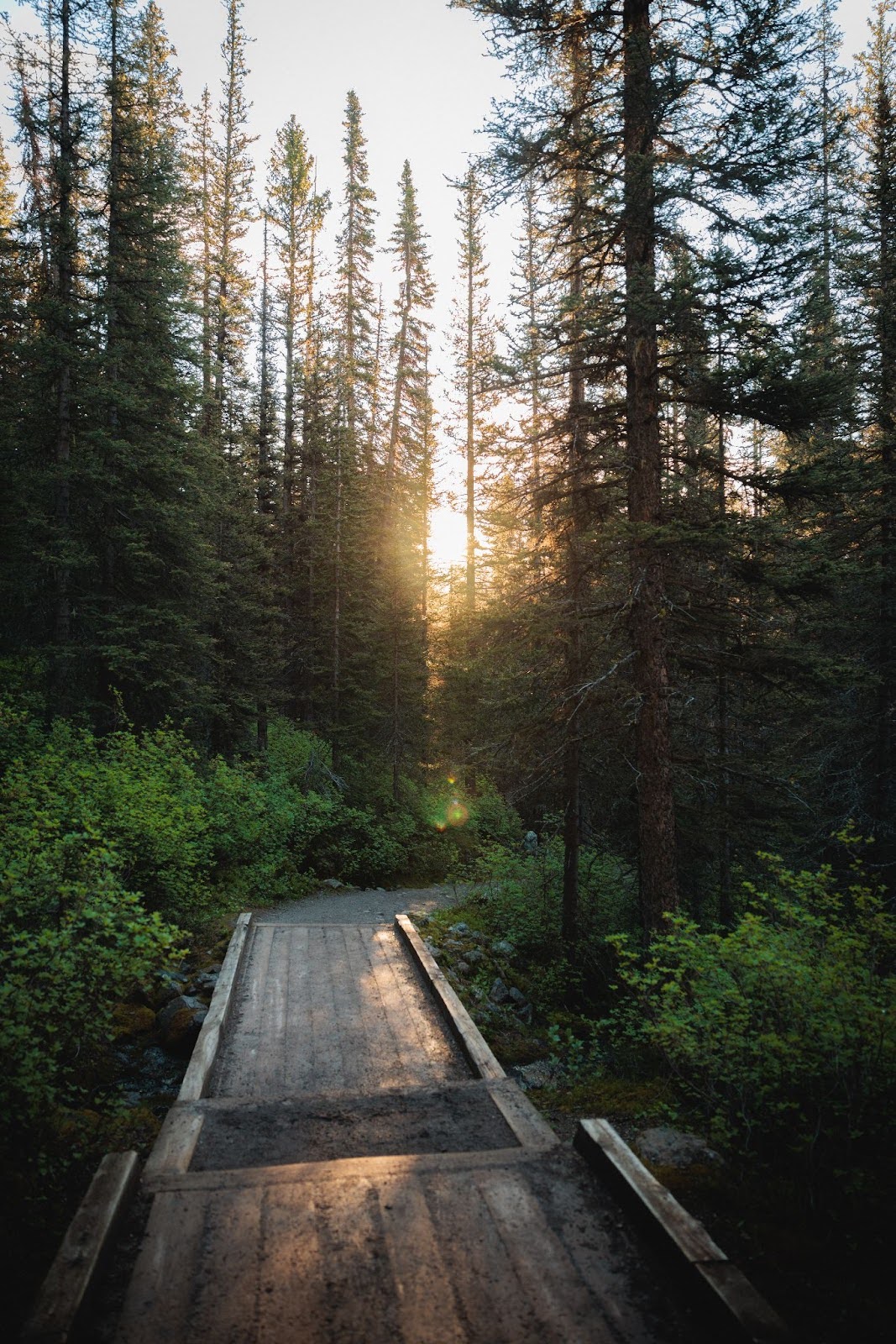  Larch Valley Hike