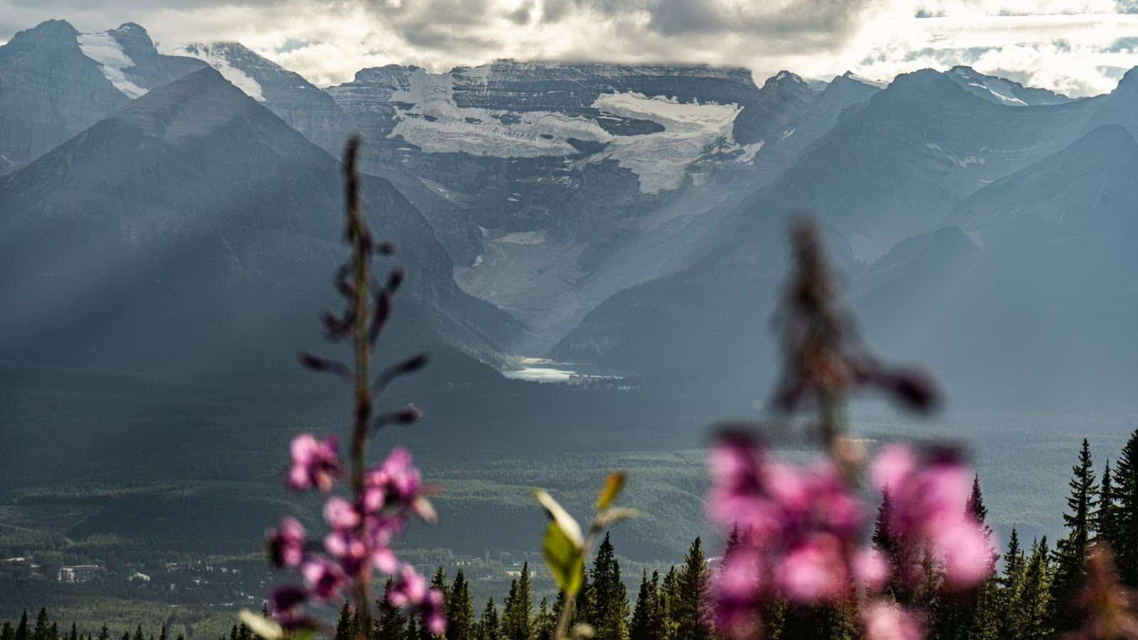 Great Views at Lake Louise