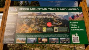 The Lake Louise Summer Gondola & Hiking: Your Ultimate Guide - Moraine