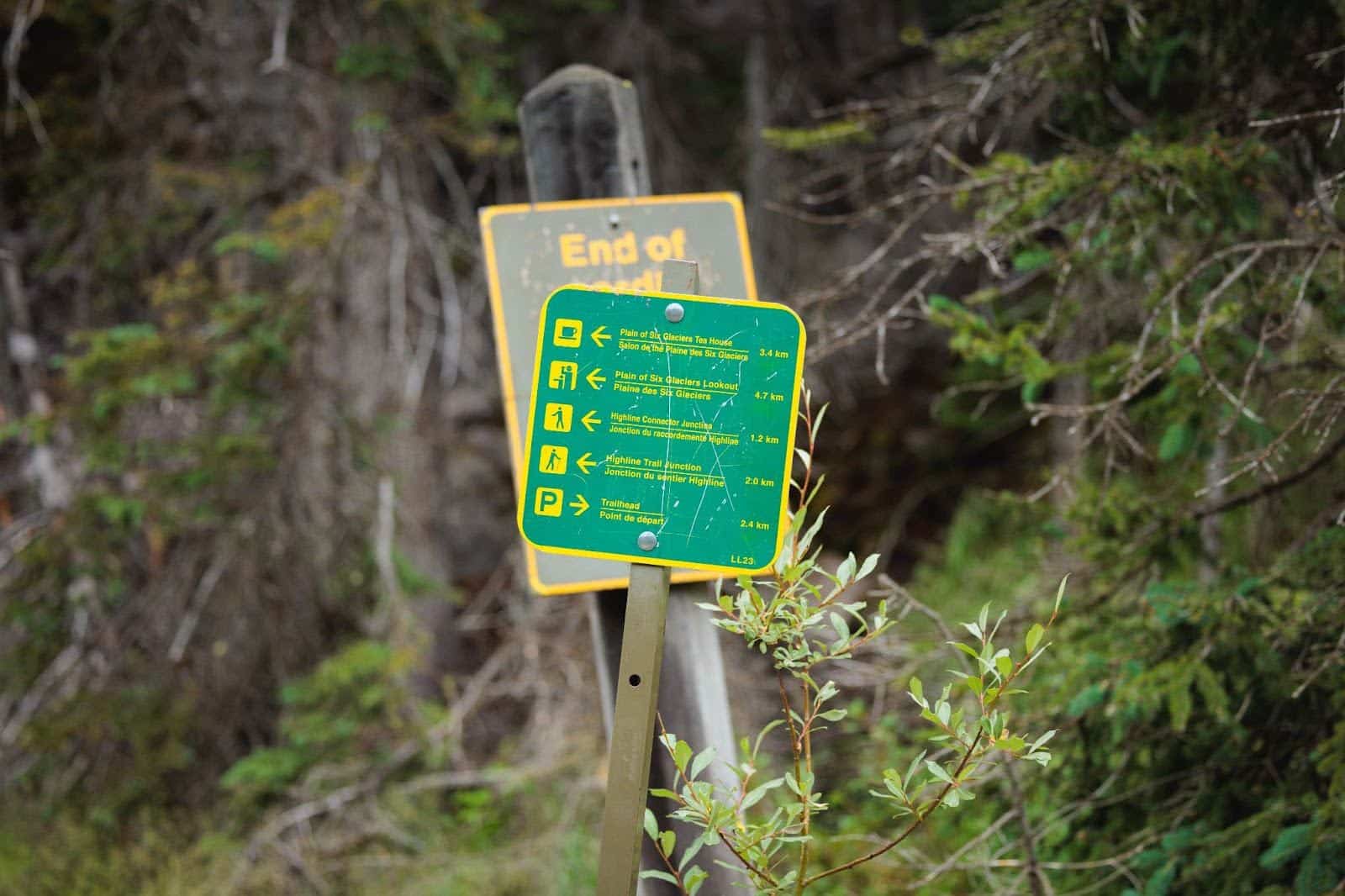 Plain of Six Glaciers Trail